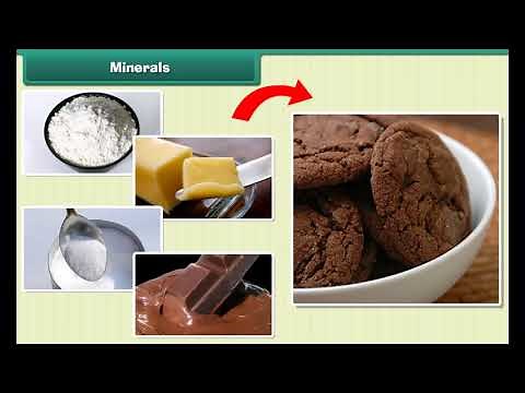 Class 5 Science - Rocks and Minerals | Types of Rocks