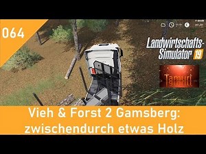 LS19 Vieh & Forst 2 Gamsberg Lets Play #064 zwischendurch etwas Holz