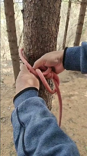 How to Tie a Secure Tree Anchor Knot | Bushcraft & Climbing Basics#Bushcraft #SurvivalSkills#knot