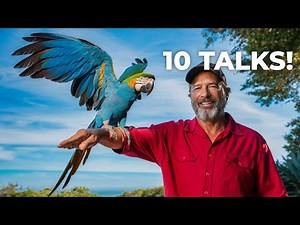 10 Mind Blowing Facts About Parrots You Didn't Know!