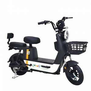 [Hot Item] 2023 New Design High Quality Custom Logo 48V 350W Chinese Electric Bicycle