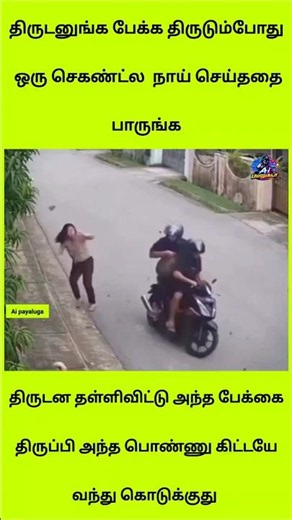 திருடனை விரட்டி பையை மீட்ட நாய்! 🐕 AI Hero Dog Saves Woman #shorts
