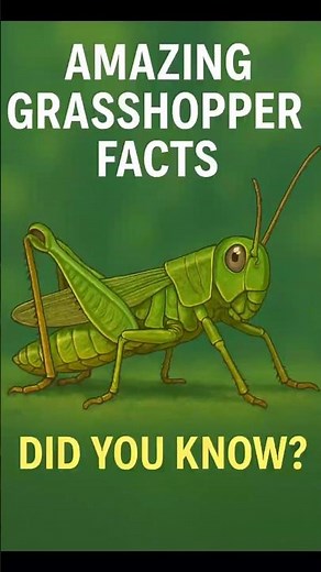 Amazing Grasshopper Facts | Nature’s Incredible Jumper #facts #education #animals #grasshopper