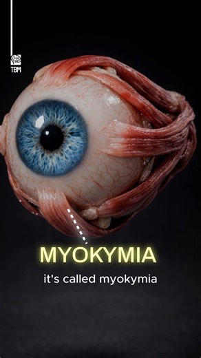 Why Your Eye Keeps Twitching