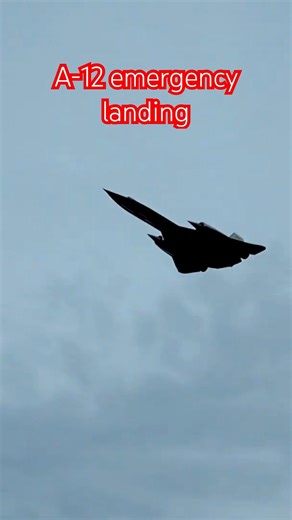 Rc turbine A-12 emergency landing #rc #rcturbine #modelairplane #modelaircraft #aviation #rcjet