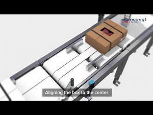 Scanvaegt Automatic Box Weigh Labeller