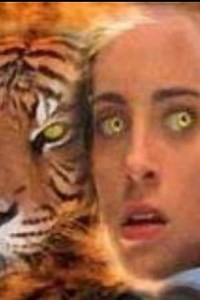 Wild Kat (2001) - TV Show