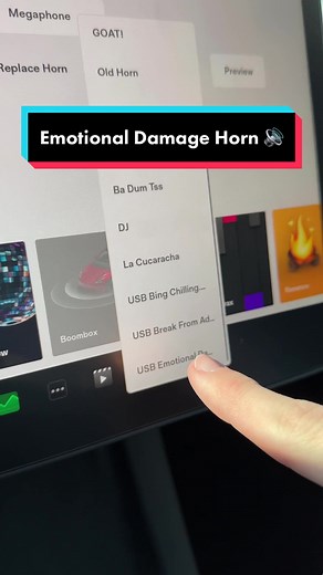 Tesla Model 3 Custom Horn: Emotional Damage Honk