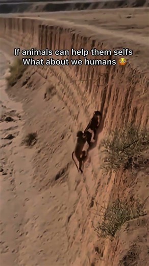 The Batman Mindset is REAL 🦇🔥