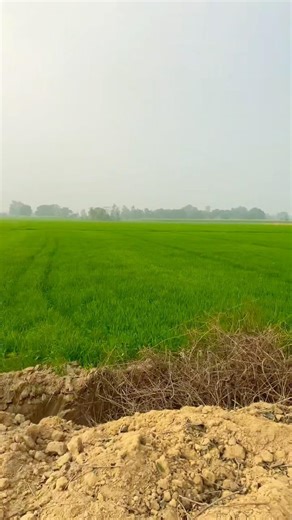 Mujhe Leke Chaloo Na #shorts #farming #bike