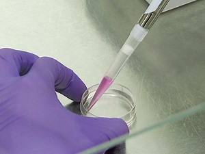 Determination of the Relative Cell Surface and Total Expression of Recombinant Ion Channels Using Flow Cytometry