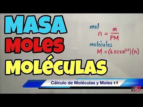 Calculation of moles, grams and molecules.