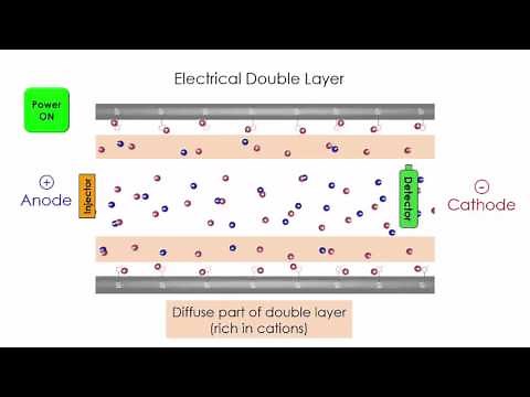 Capillary Electrophoresis
