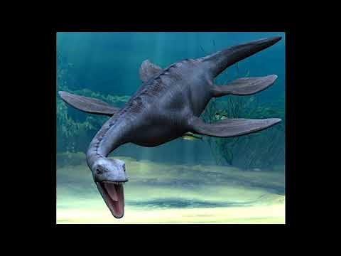 Plesiosaurus Sounds HD