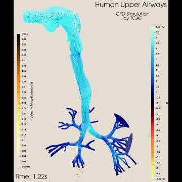 The Complex Science Behind Every Breath | CFD Airway Simulation