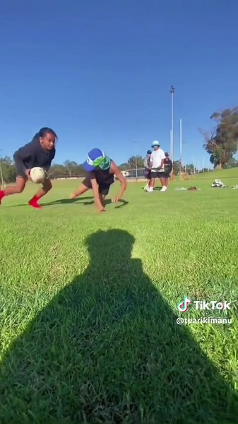 Funny Cat Slapping Pranks: Hilarious Animal Moments