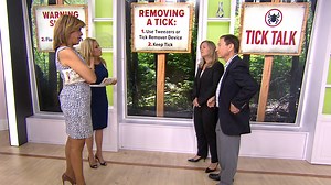 6 things you need to know about ticks and Lyme disease