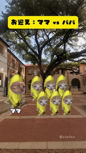 【猫ミーム】ママ vs パパの猫マニ