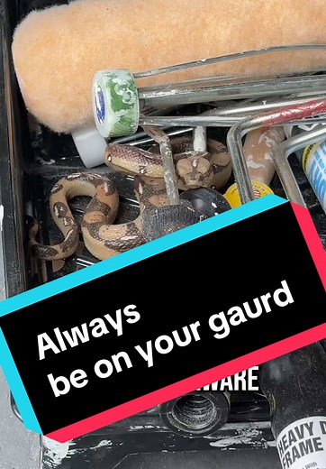 Stay Aware: Safety Tips for Painters and Home Improvement