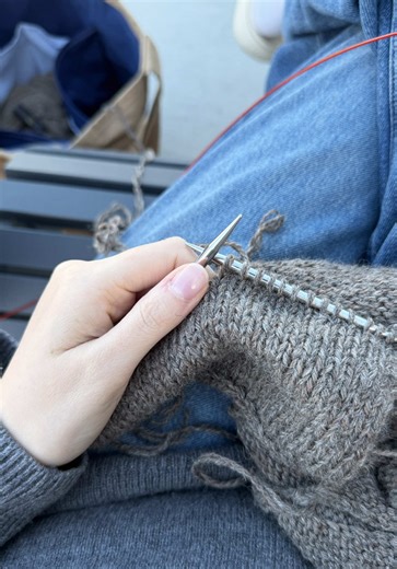 My spring knitting companions 🧶🐶 nothing better than sitting outside to knit in the evening. #knittok #knittingtiktok