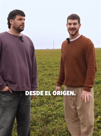 No, el maní no sale de un árbol. 😅 Descubrí el primer paso de un proceso ENORME junto a @cavgg y @nicodallib: El arrancado e invertido. ☑️ Arrancamos e invertimos el maní para que se seque naturalmente. ¿Querés saber más? Seguí el camino de la cosecha con nosotros.