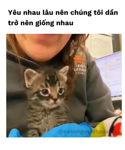 Giống nhau từng cử chỉ đến hành động #fyp #fypシ #fypシ゚viral #xh #cat