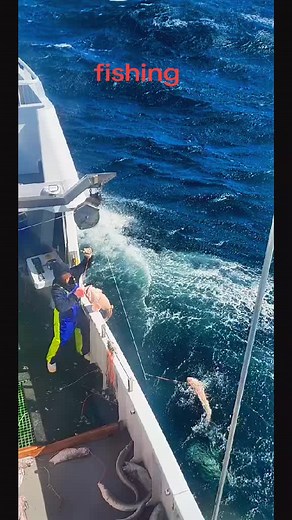 Essential Fishing Tips for Beginners