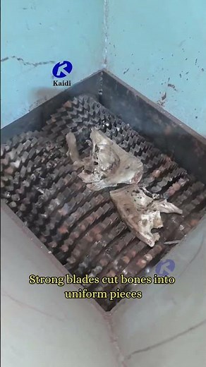 Double Shaft Shredder Processing Animal Bones | Industrial Bone Recycling Machine