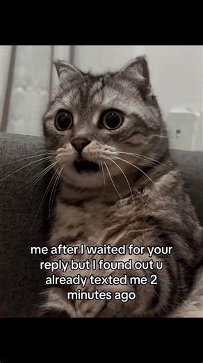 The Frustration of Waiting for a Text Reply