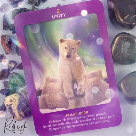 12K views · 345 reactions | Unity - Polar Bear Embrace this time of...