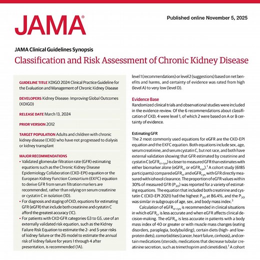 🧠 New KDIGO 2024 CKD Guideline – important also for urologists. 📄 An excellent and timely update focusing on precision in eGFR, fairer models, and better risk prediction. | Gernot Bonkat