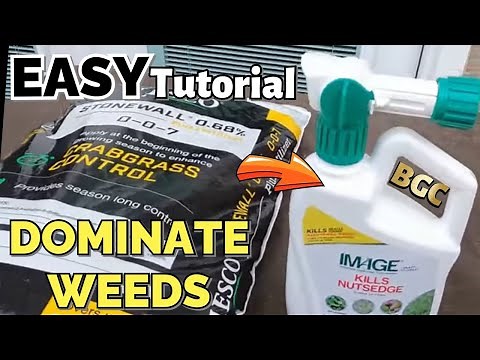 EASY Pre Emergent Post Emergent weed killer Application for lawns // Step By Step Tutorial