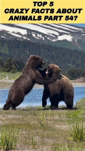 Top 5 Crazy Animal Facts Part 54 #shorts