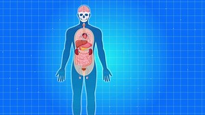 Detailed animation illustrating human lung anatomy with labeled parts, set against a blue grid background