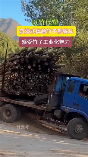 Eco-friendly bamboo disposable tableware. single-use bamboo tableware. #bamboo #disposable #tableware