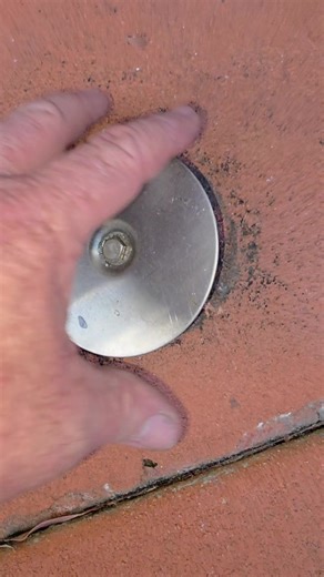 Termite season is here. If you have not had a termite inspection in the last 12 months, call now #termitecontrol #termites #termitenest #termidor #termiteinspection #termiteattack #pestsolutions #termitedamage #termidorheaccreditation #termitesolutions #termitetreatment #termidorfoam #TermitesControl #termitespecialist #termitespecialists #termiteseasonishere #termitesbrisbane #annualtermiteinspections | Critters Termite and Pest Solutions