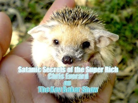 Chris Everard - Satanic Secrets of the Super Rich - The Kev Baker Show - 2019