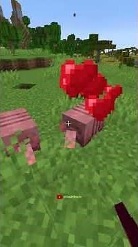 Armadillo XP Farm In Minecraft?!