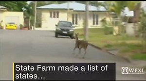 28K views · 291 reactions | DRIVERS BEWARE: It’s that time of year...