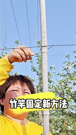 Fruit Tree Branch Shaping Machine 🌳 Smart Tool for Perfect Fruit Tree Planting #Shorts #Agriculture