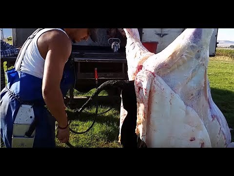 How To Remove Cow Skin