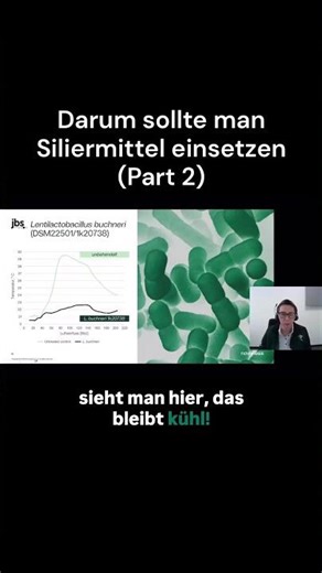 Warum Siliermittel einsetzen (Part 2)