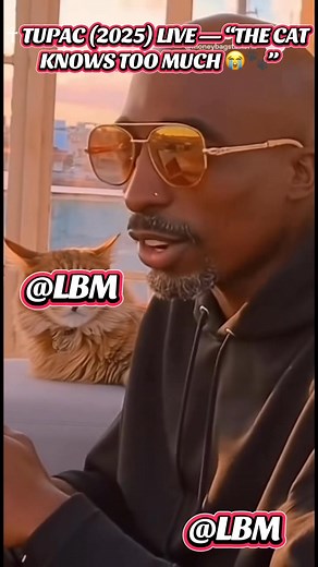 ☥ TUPAC (2025) LIVE — “THE CAT KNOWS TOO MUCH 😭🐾” Pac went live from Cuba… but the cat stole the show. 🐈💀 When your Maine Coon start actin’ like he remember 1996, it’s time to sage the whole apartment.” #Tupac2025 #FunnyTupac #PacLive #MakaveliLives #MaineCoon #PacAndTheCat #ViralComedy #MakaveliReturns #TupacShakur #PacJokes #MakaveliEnergy #LegendaryComedy #CubaChronicles #CatTok | Legendary Baggs