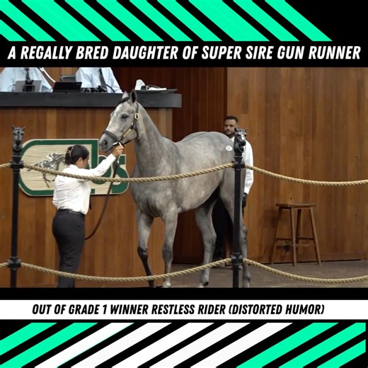 63K views · 65 reactions | Team up with the connections of SEIZE THE...