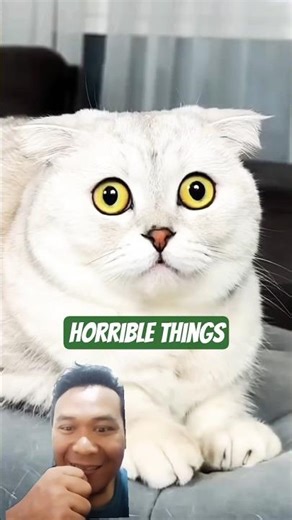 He Thought the New Mop Saved Him… Until the OLD One Came Back! 😱🐱🧹 #Shorts #cat #horror #funnycat