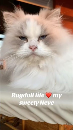 Neve: Lo sguardo che attraversa l'anima 🕊️✨