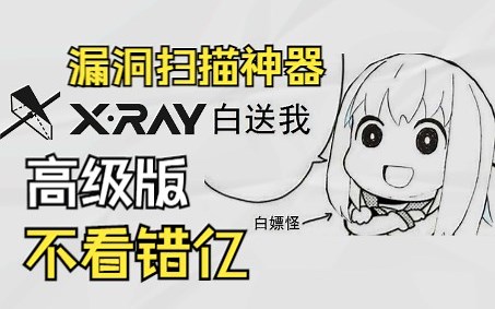 【Xray教程】挖洞神器Xray安装&使用教程（附安装包）网络安全 | kali渗透工具 | 漏洞挖掘