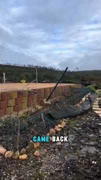 one man's mission collapses lets help : https://gofund.me/969e89d74