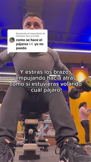 ¿Cómo hacer pájaros con mancuernas?