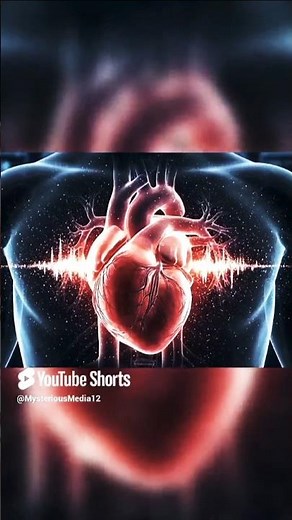 Life After Death #LifeAfterDeath #NearDeathExperience #AfterlifeDocumentary #Spirituality